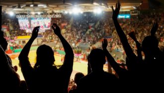 Crowd at a Basketball Game