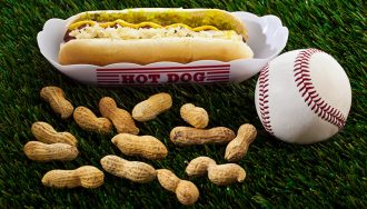 Collage of baseball stadium food