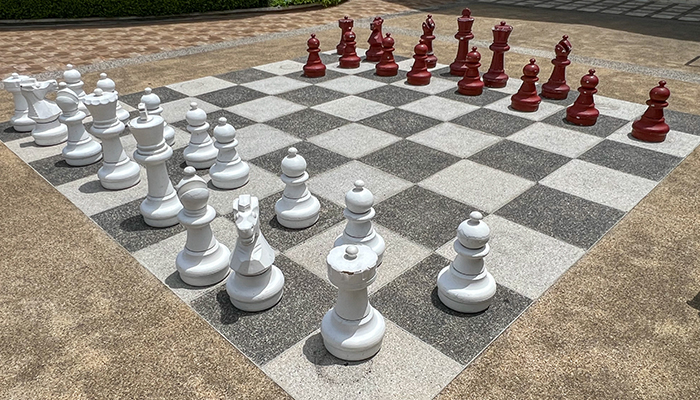 Chess in the park