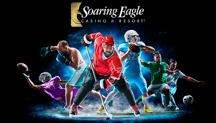 soaring eagle online casino login