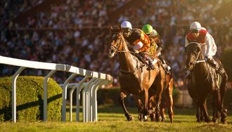 Two jockeys during a horse race